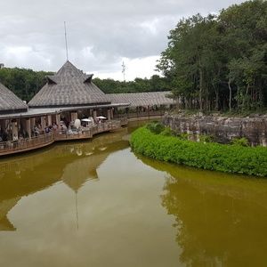 Meet your Posher, Caleeah